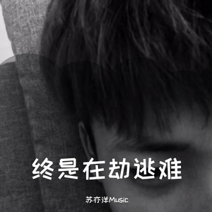 清朝古代一级毛片
